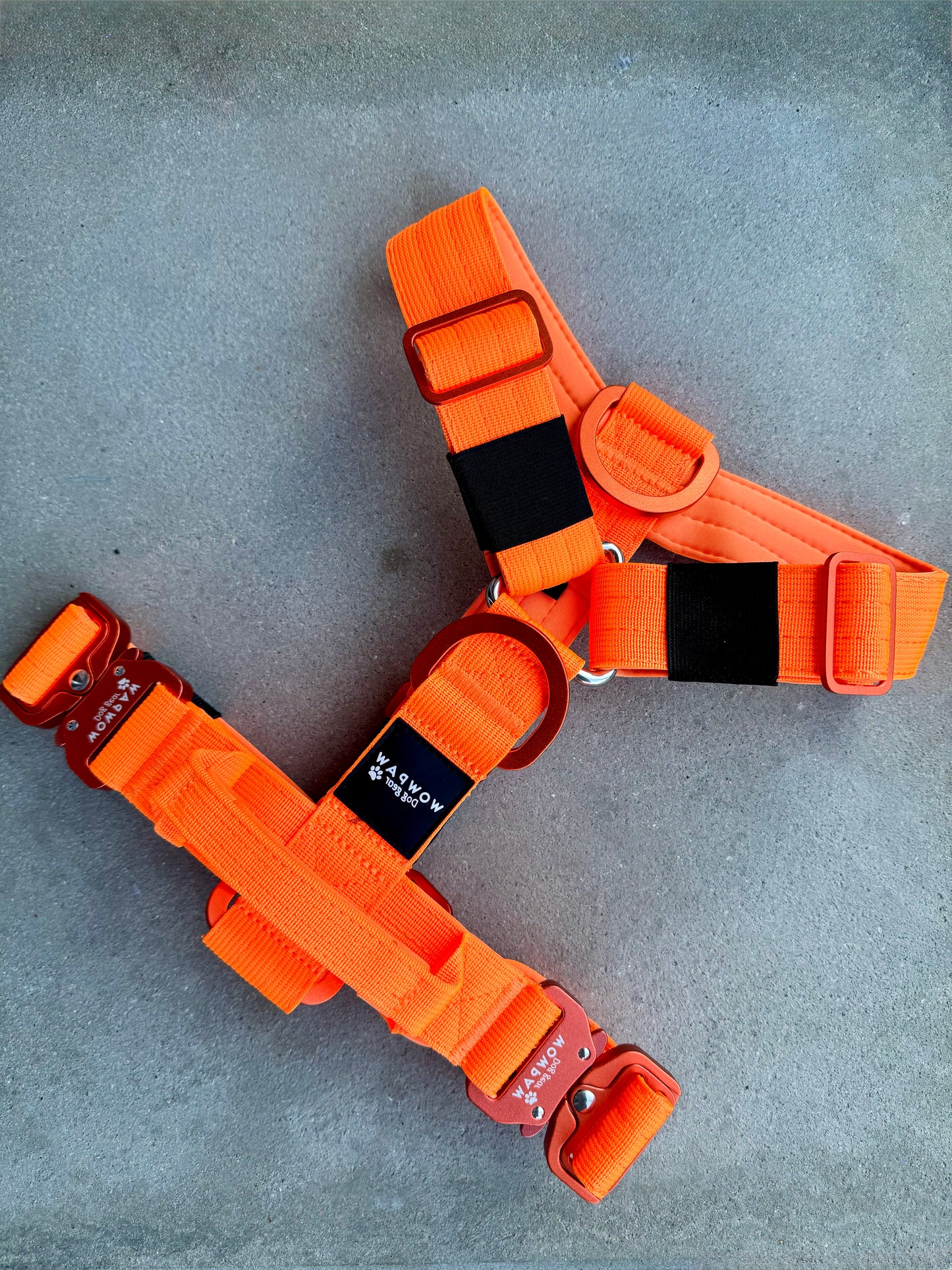 Hochwertiges Hundegeschirr S Neonorange Edition