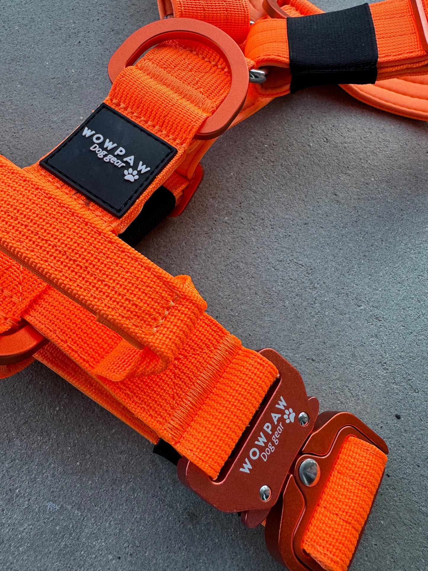 Hochwertiges Hundegeschirr S Neonorange Edition