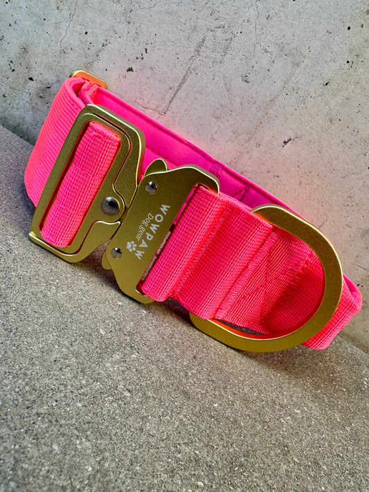 Collare tattico per cani di alta qualità blu royal taglia S