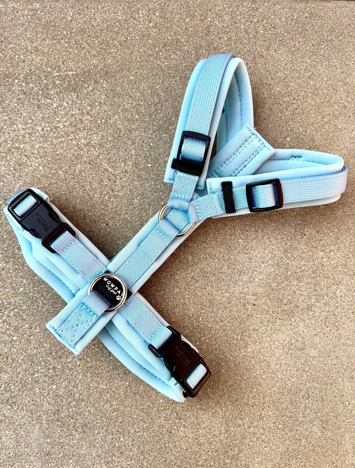 Hochwertiges Hundegeschirr FLOW Sky Blue Edition