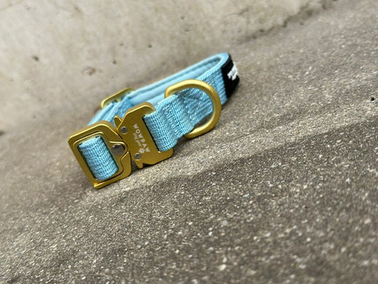 Collare per cani tattico di alta qualità 2,5 cm arancione neon taglia XS