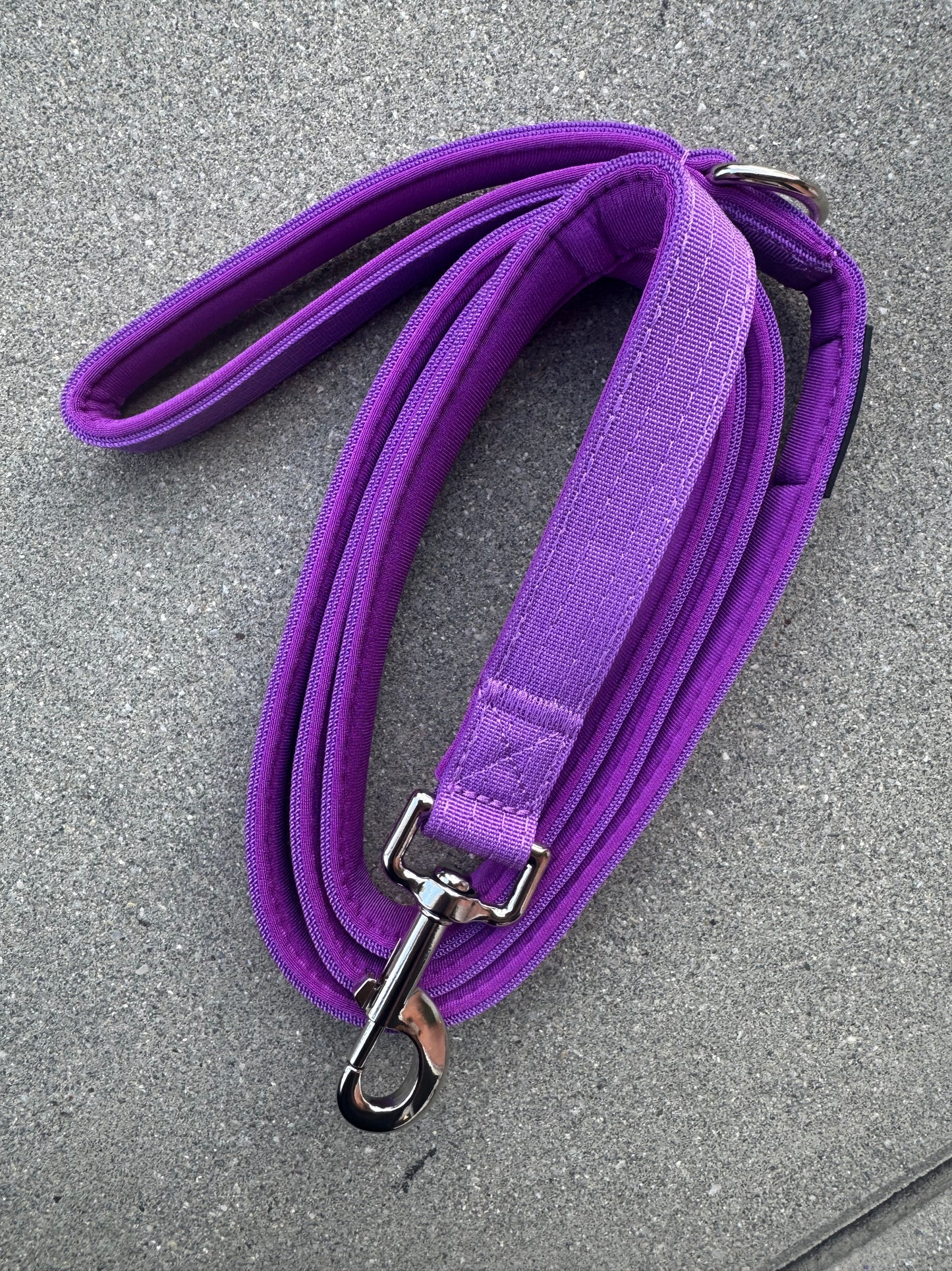 Basic Hundeleine Dunkellila Edition 1,8m