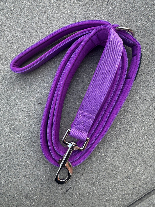 Basic Hundeleine Dunkellila-Silber Edition 1,8m