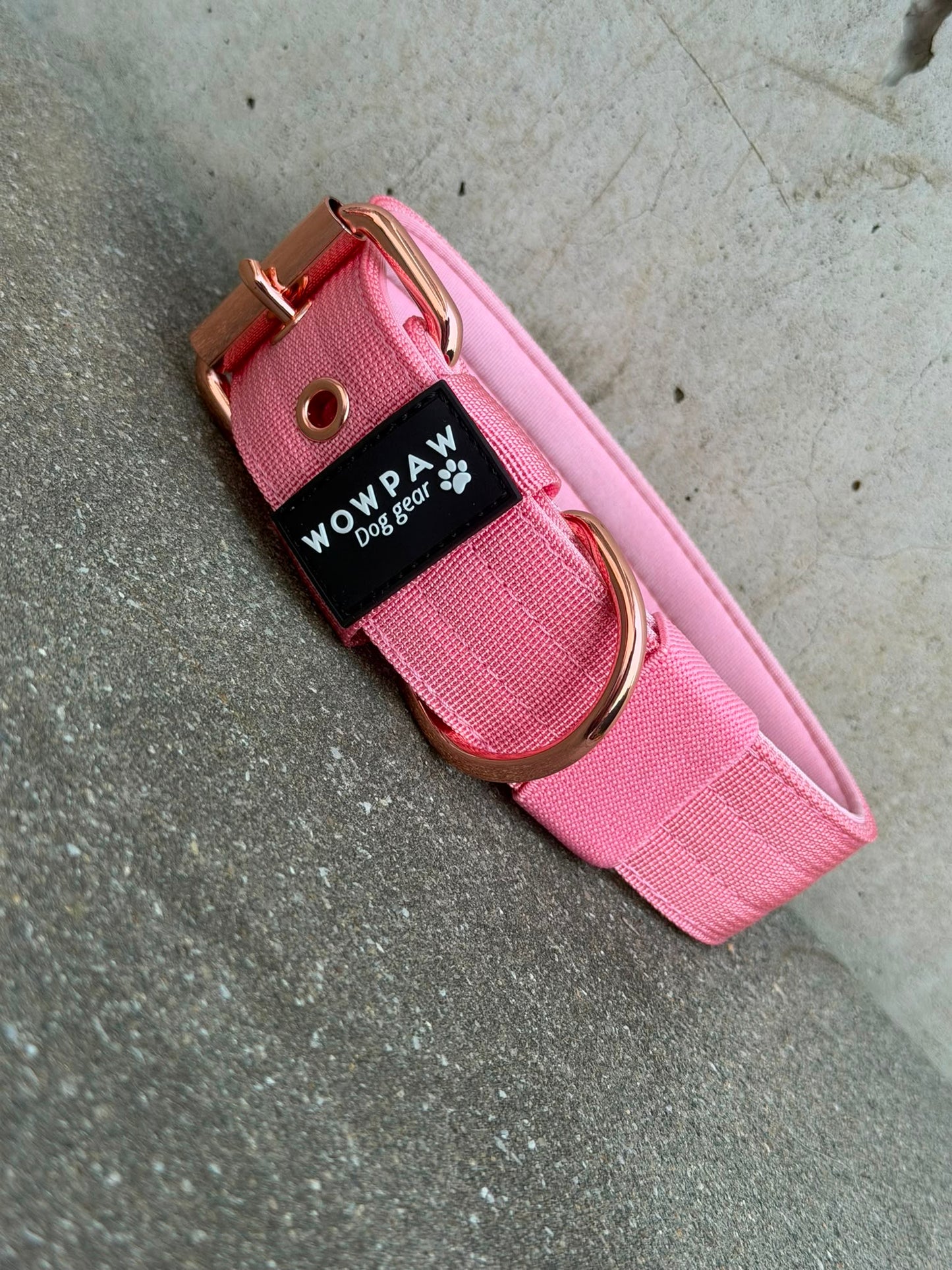 Hochwertiges Basic Hundehalsband Rosa Edition 3,8cm Größe M