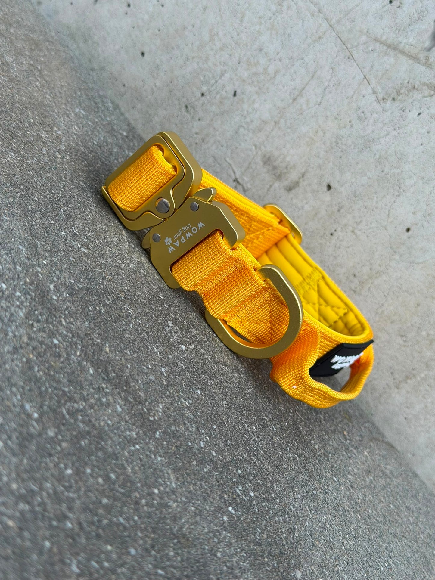 Hochwertiges taktisches Hundehalsband XS 2,5cm Yellow Edition