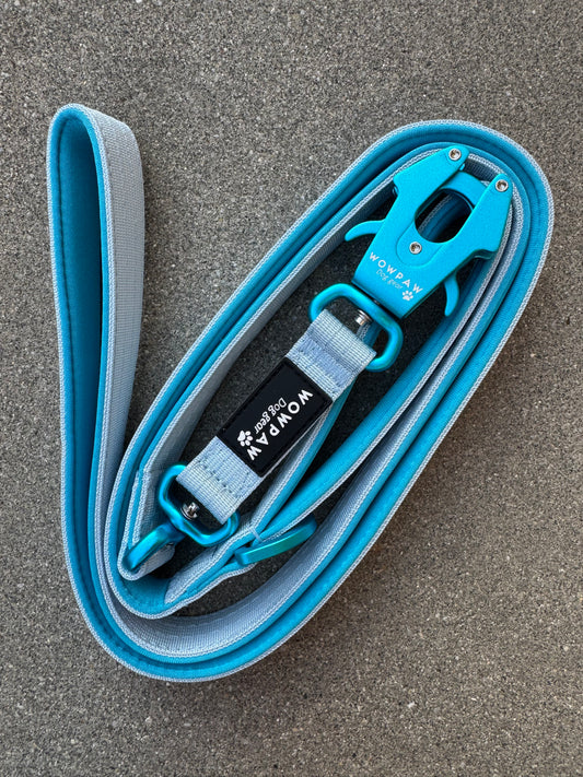 Taktische Hundeleine ULTRA LIGHT Light Blue Edition, Länge 1,8m