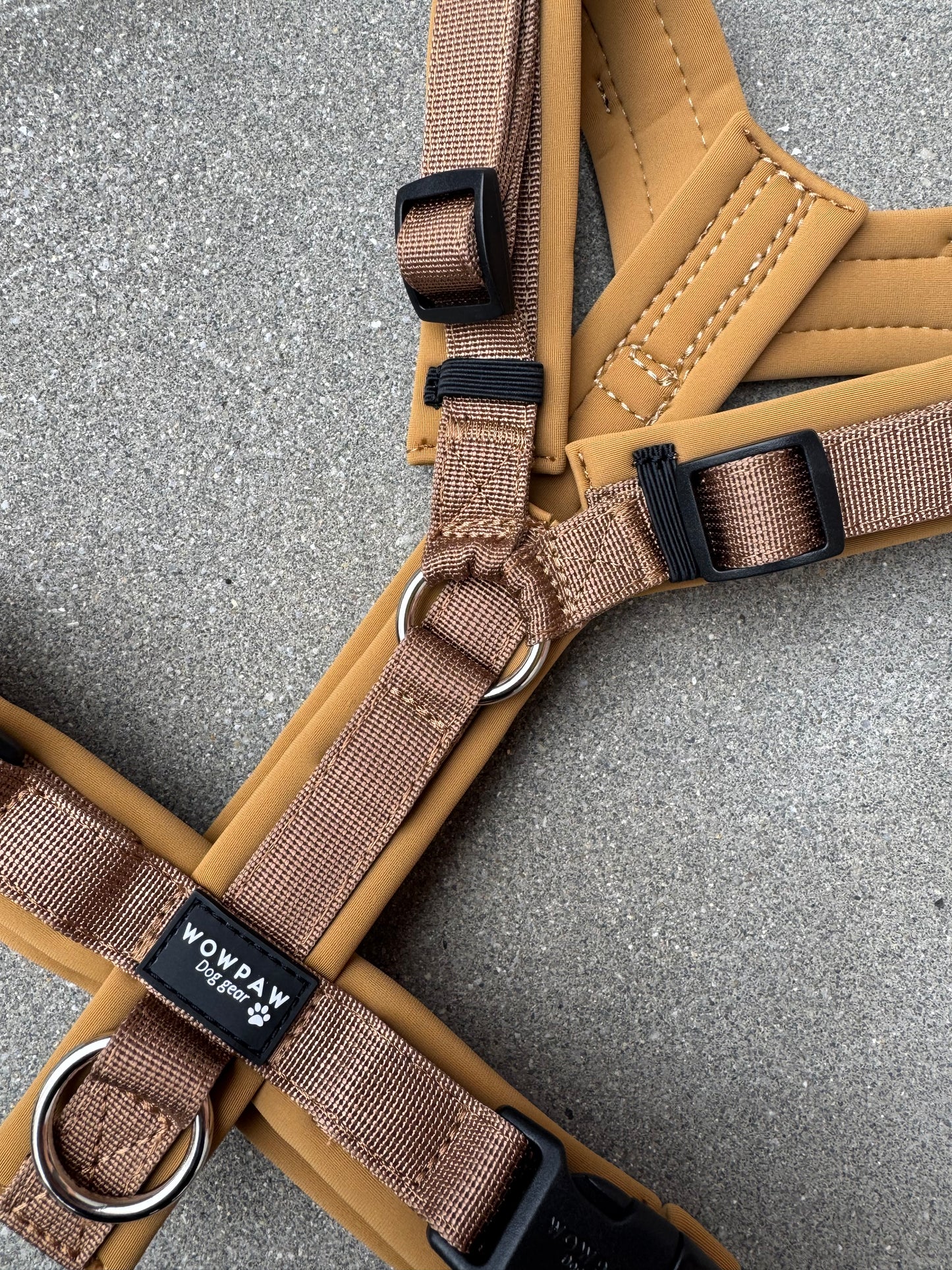 Pettorina per cani di alta qualità M arancione neon