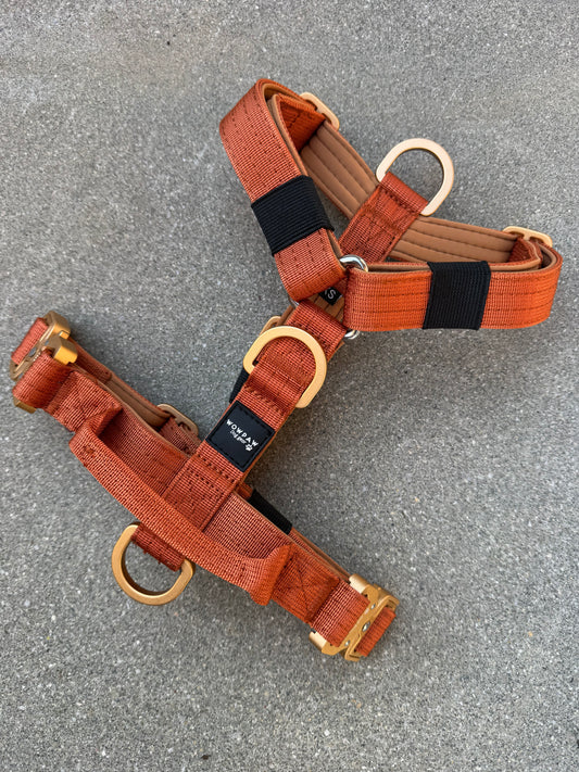 Hochwertiges Hundegeschirr XS Kupfer Edition