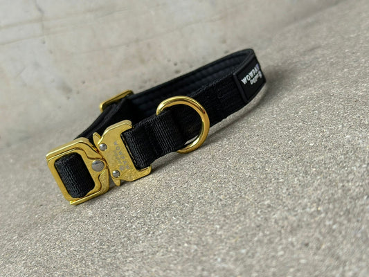 Collare per cani tattico di alta qualità 2,5 cm arancione neon taglia XS