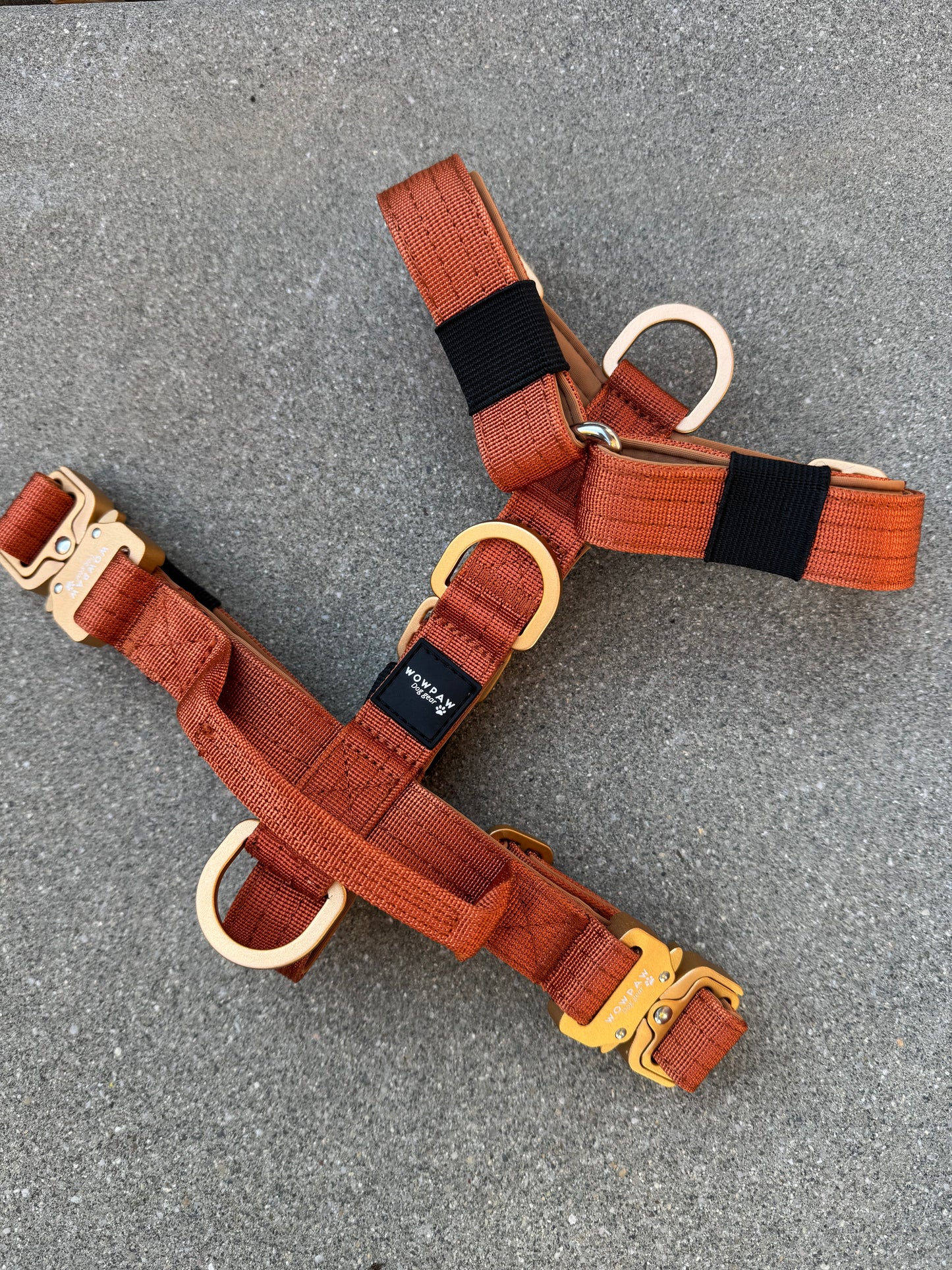 Pettorina per cani di alta qualità XS arancione neon