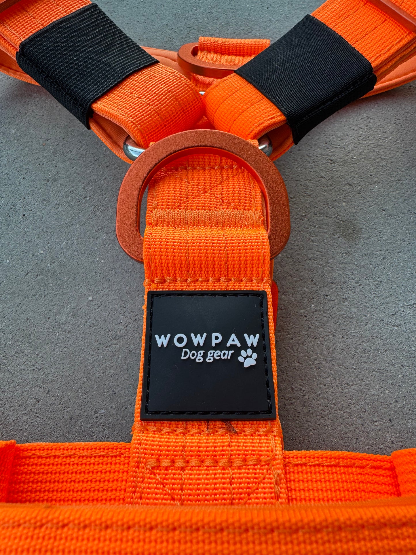 Hochwertiges Hundegeschirr S Neonorange Edition