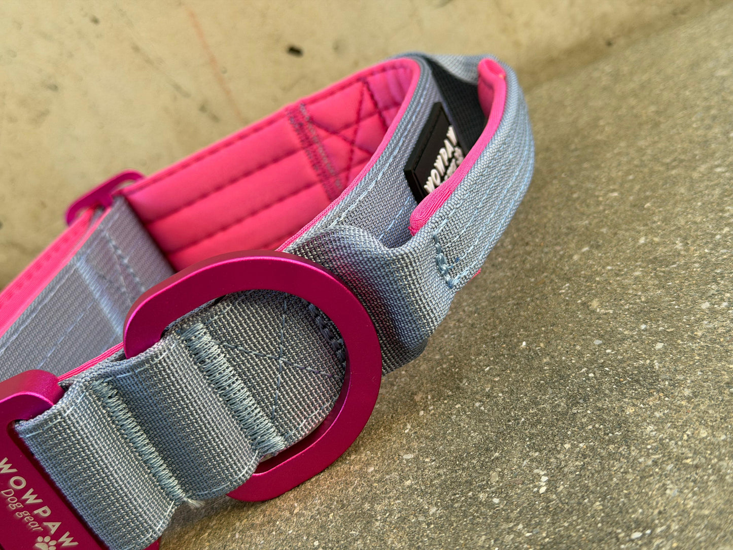 Taktisches Hundehalsband ULTRA LIGHT 5cm Blue Purple Edition M