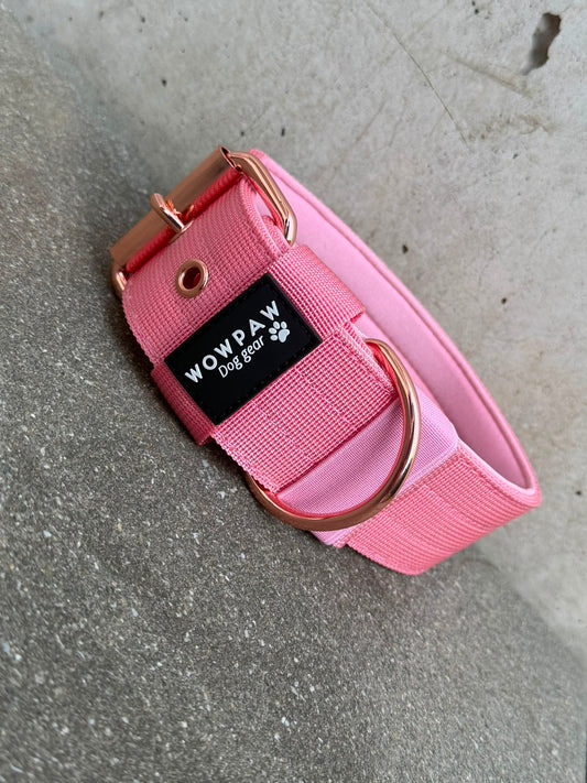 Hochwertiges Basic Hundehalsband Rosa Edition 5cm Größe S