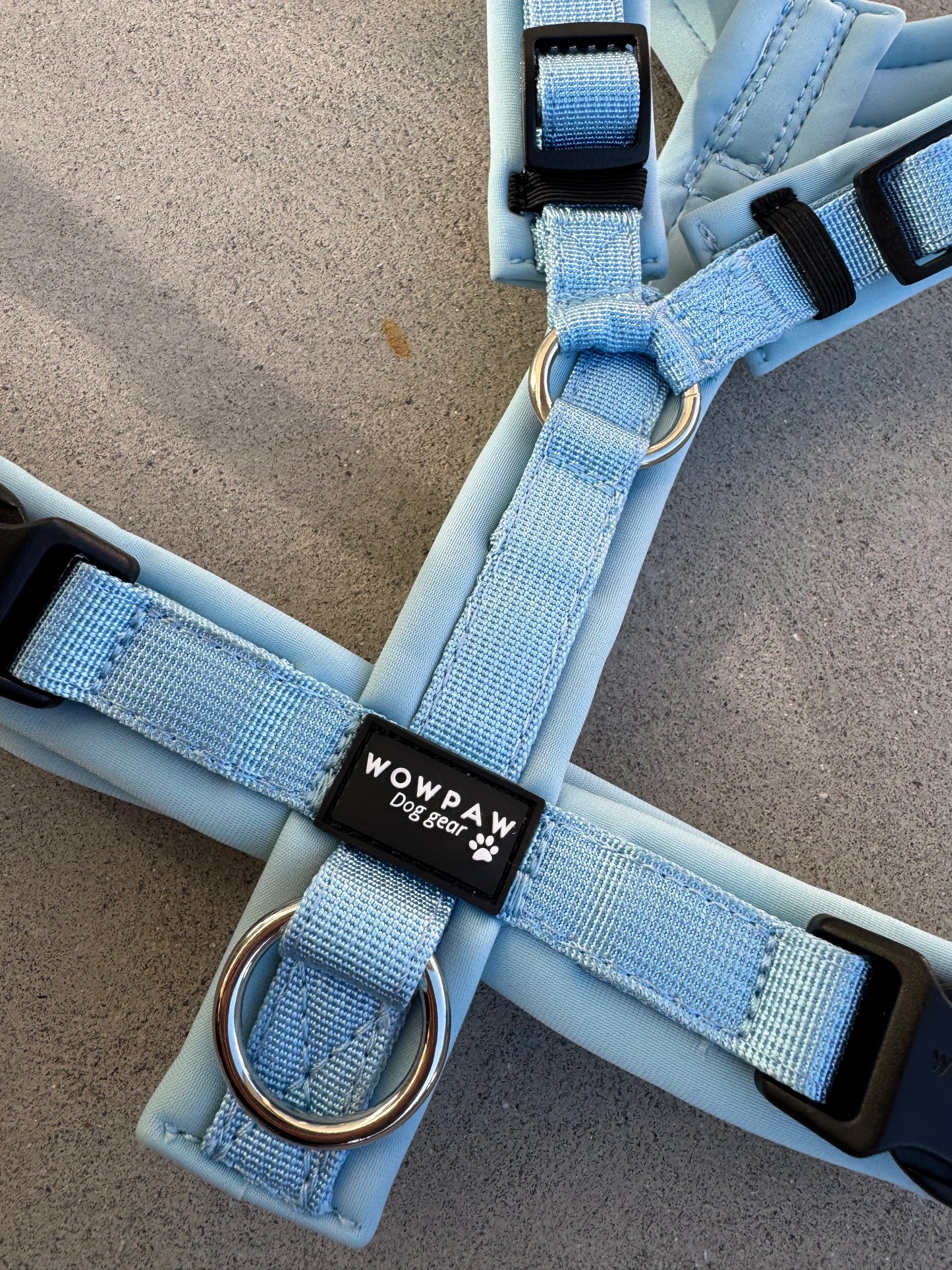 Hochwertiges Hundegeschirr FLOW Sky Blue Edition