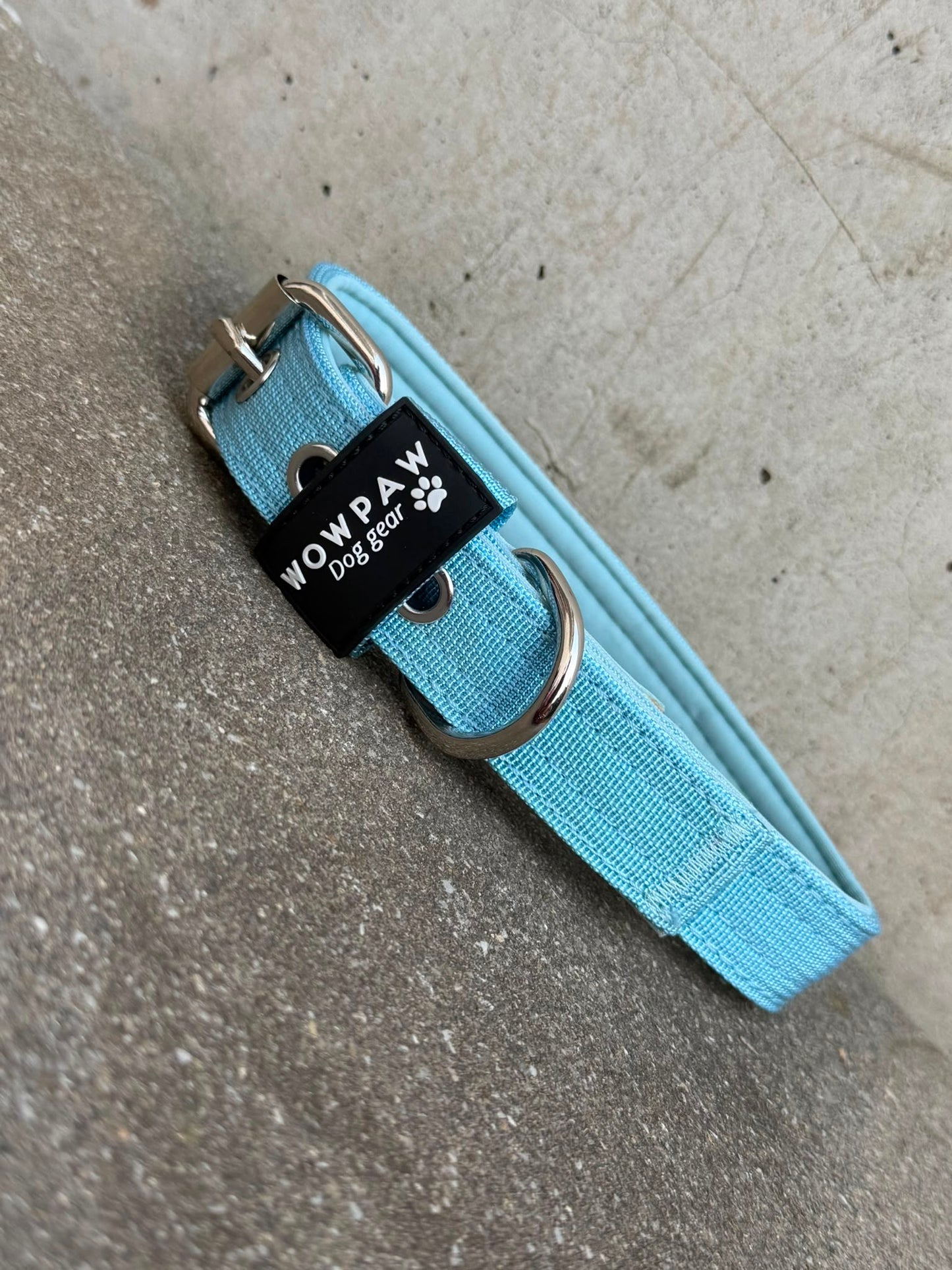 Hochwertiges Basic Hundehalsband Sky Blue 2,5cm Größe M