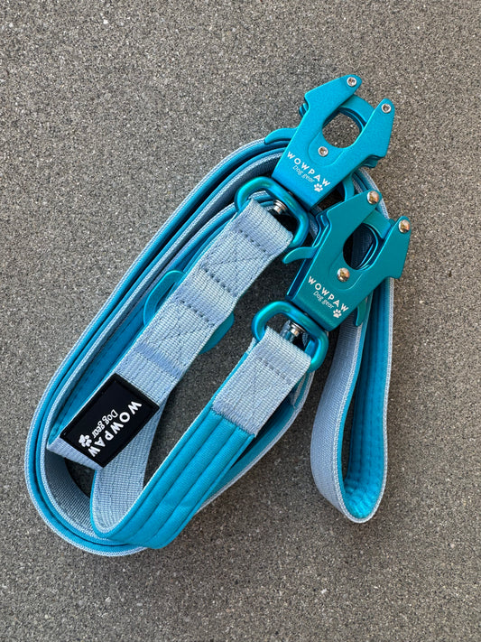 Smycz taktyczna dla psa ULTRA LIGHT Sky Blue Edition, długość 2m regulowana