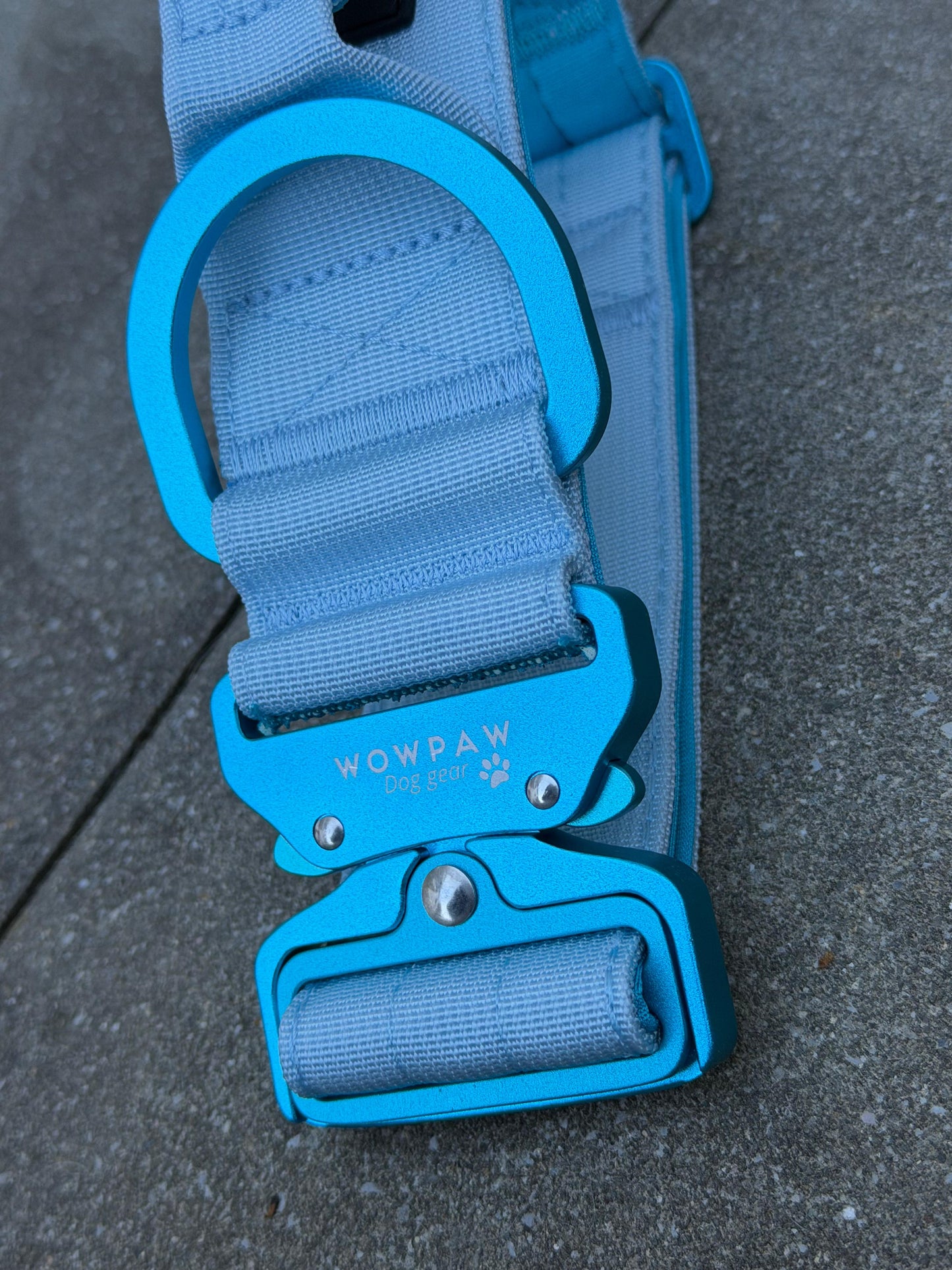 Taktisches Hundehalsband ULTRA LIGHT 5cm Light Blue Edition S