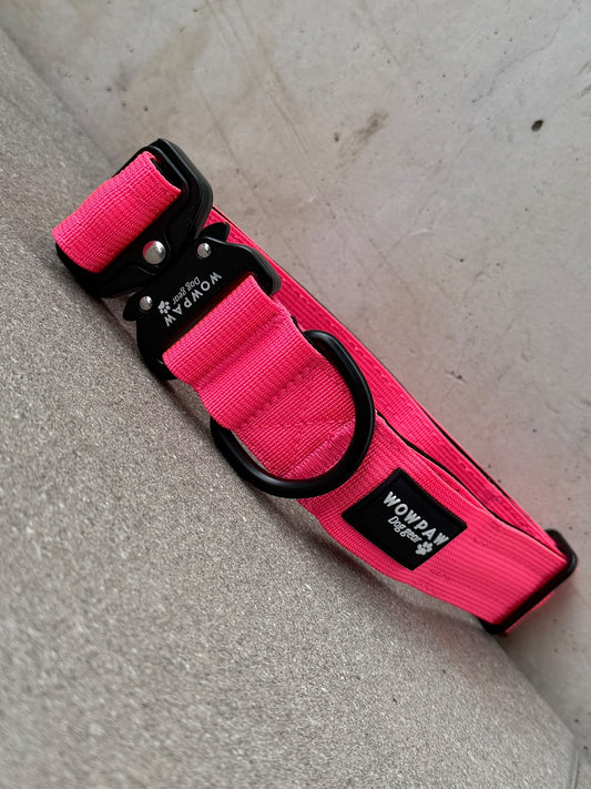 LED-Hundehalsband Neonpink Größe M Breite 3,8cm