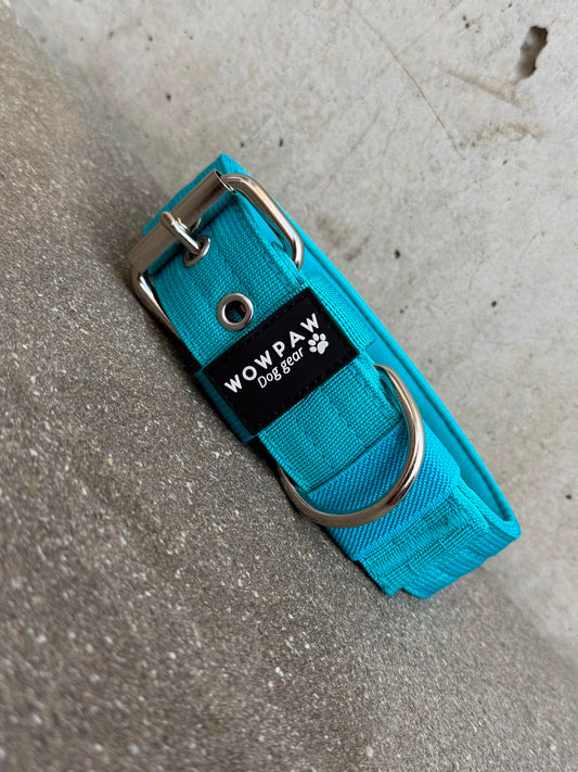 Hochwertiges Basic Hundehalsband Hellblau-Silber Edition 3,8cm Größe L