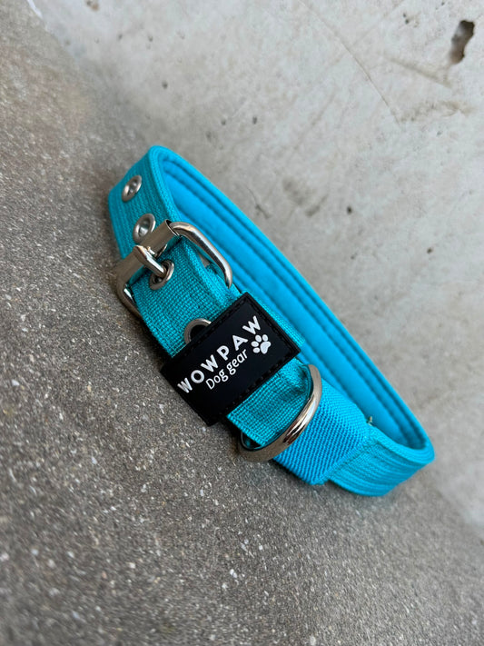 Hochwertiges Basic Hundehalsband Hellblau-Silber Edition 2,5cm Größe L