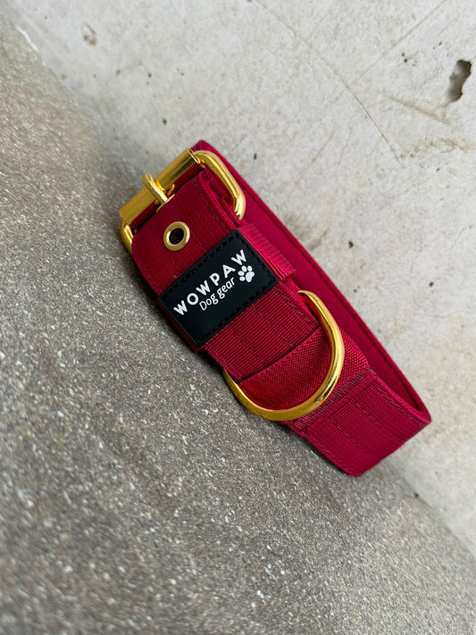 Hochwertiges Basic Hundehalsband Burgund-Gold Edition 3,8cm Größe L