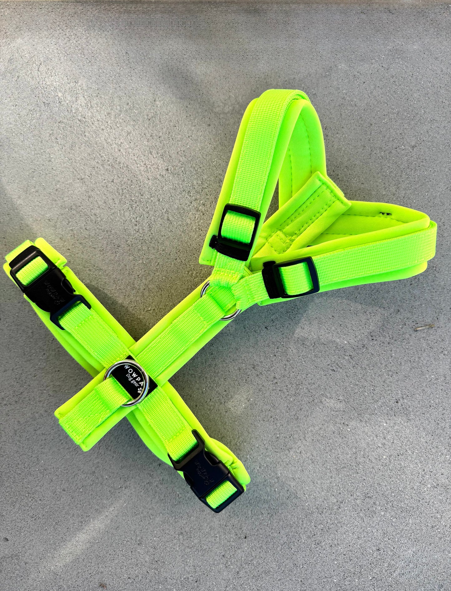 Pettorina per cani di alta qualità M arancione neon