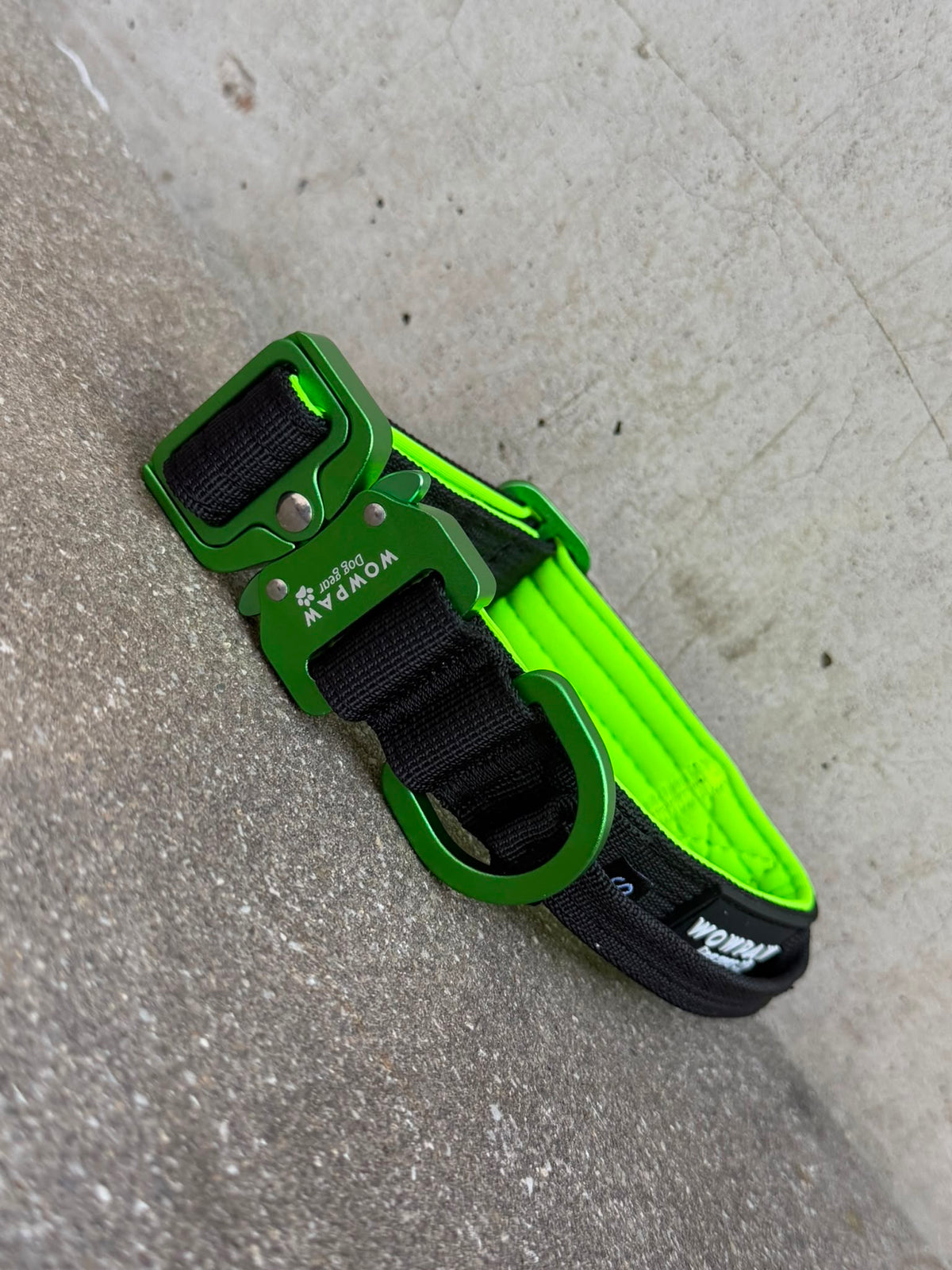 Hochwertiges taktisches Hundehalsband XS 2,5cm Black&Green Edition