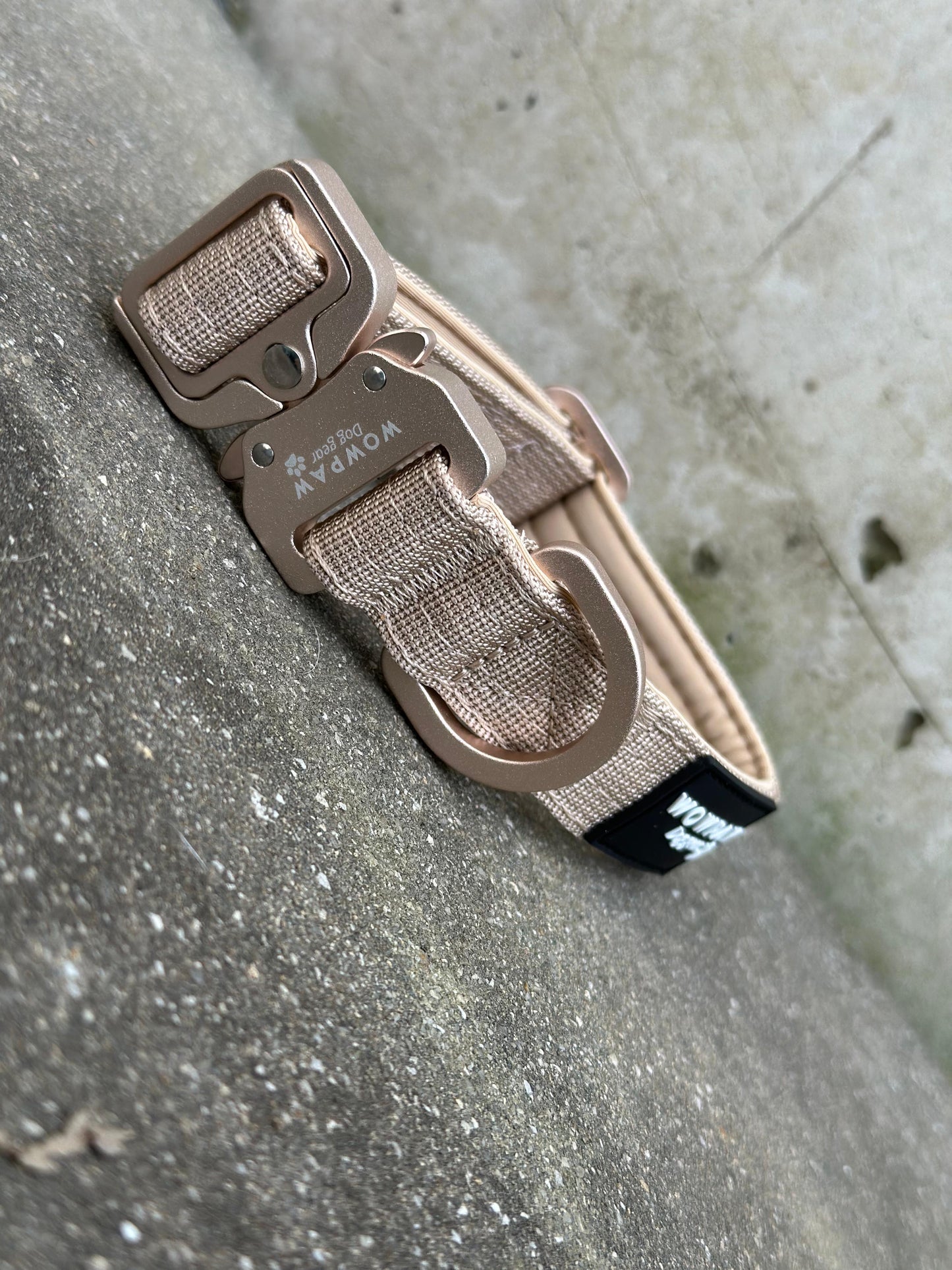 Hochwertiges taktisches Hundehalsband XS 2,5cm Beige Edition ohne Griff