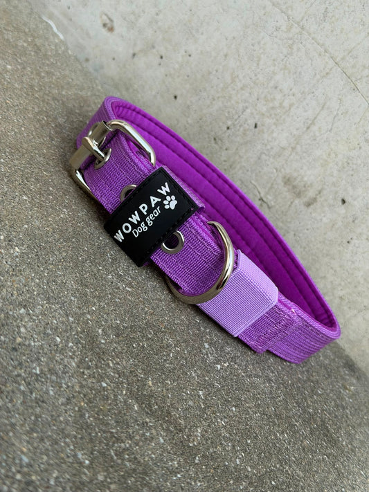 Hochwertiges Basic Hundehalsband Dunkellila-Silber Edition 2,5cm Größe M