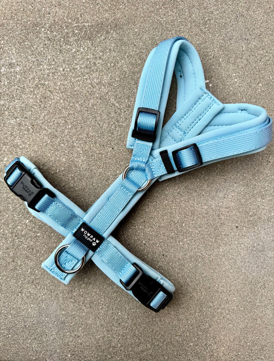 Hochwertiges Hundegeschirr FLOW Sky Blue Edition
