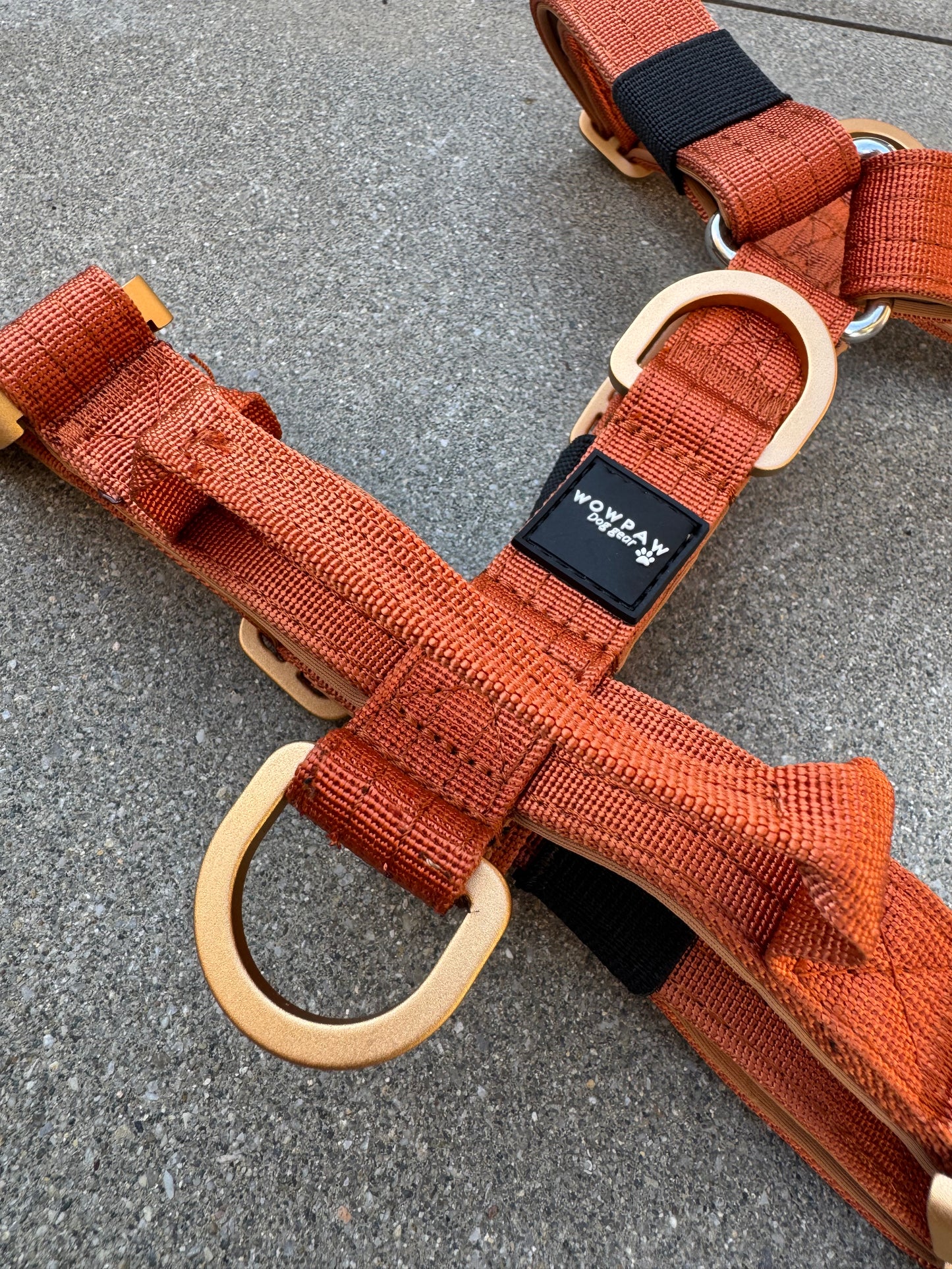 Pettorina per cani di alta qualità XS arancione neon