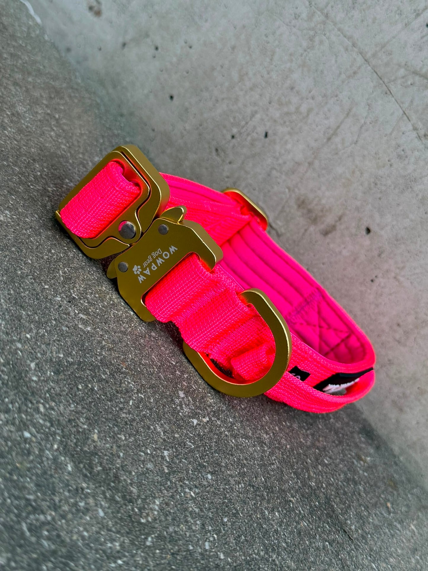 Hochwertiges taktisches Hundehalsband XS 2,5cm Neonpink Edition