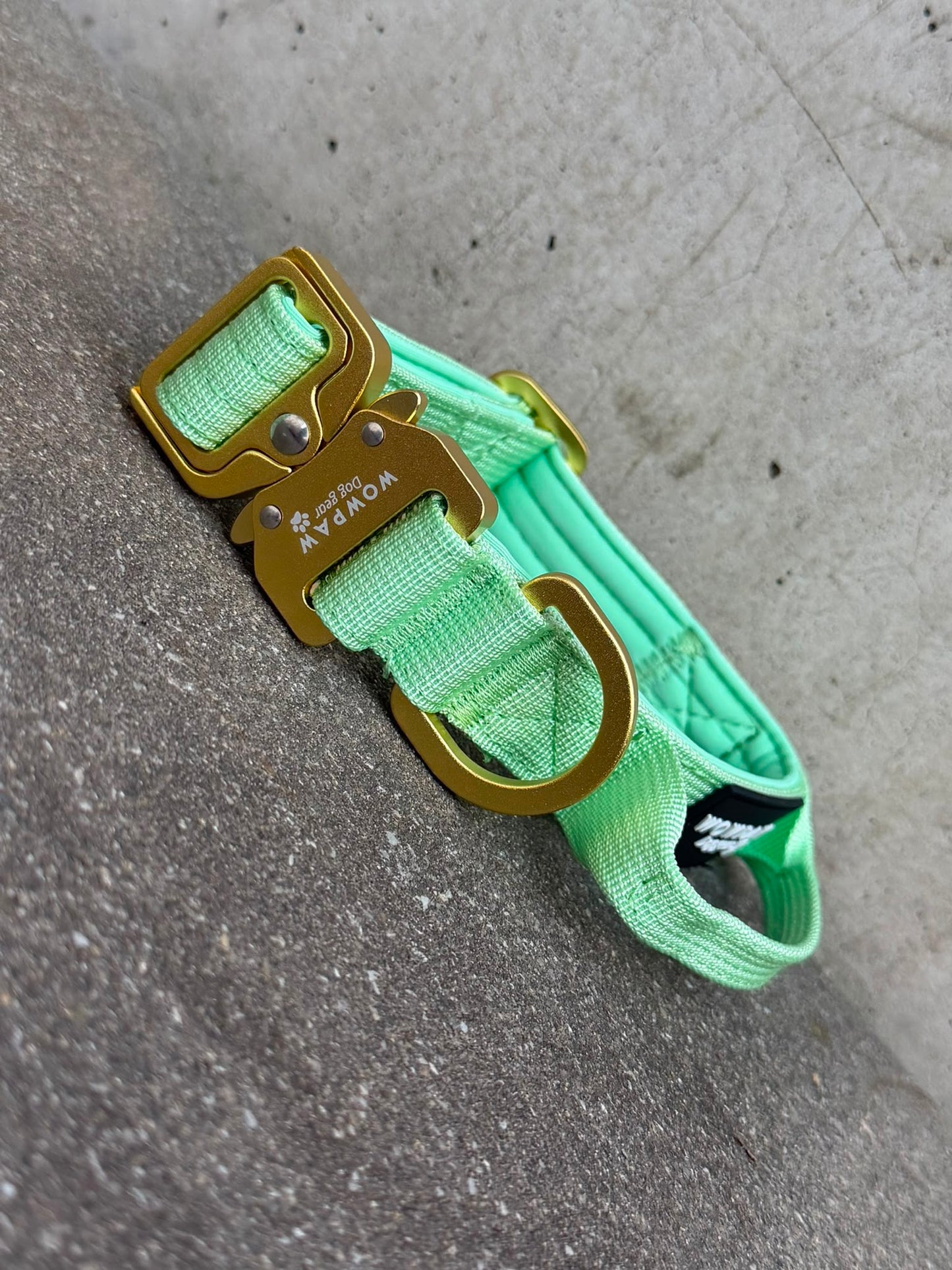 Collare per cani tattico di alta qualità 2,5 cm rosa fluo taglia XS