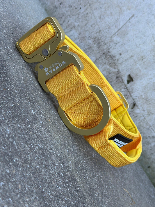 Taktisches Hundehalsband ULTRA LIGHT 3,8cm Yellow Edition S