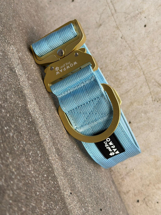 Taktisches Hundehalsband 5cm ULTRA LIGHT Sky Blue Edition M ohne Griff
