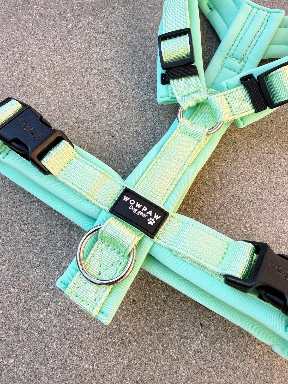 Hochwertiges Hundegeschirr FLOW Pistaziengrün Edition