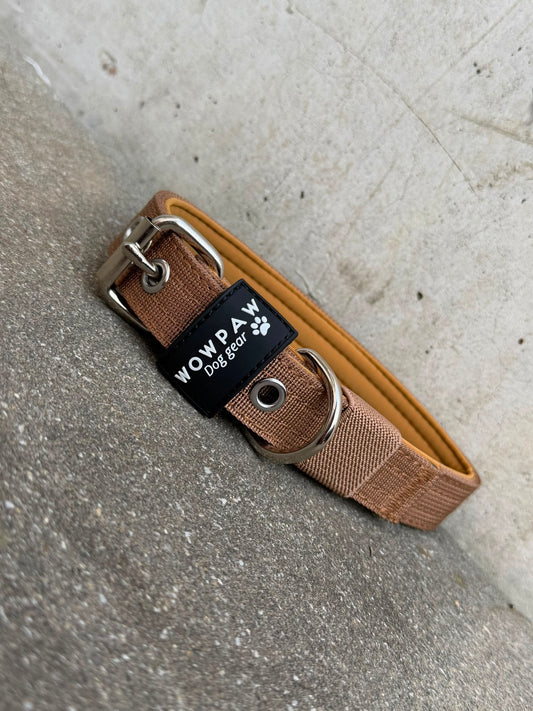 Hochwertiges Basic Hundehalsband Braun 2,5cm Größe S