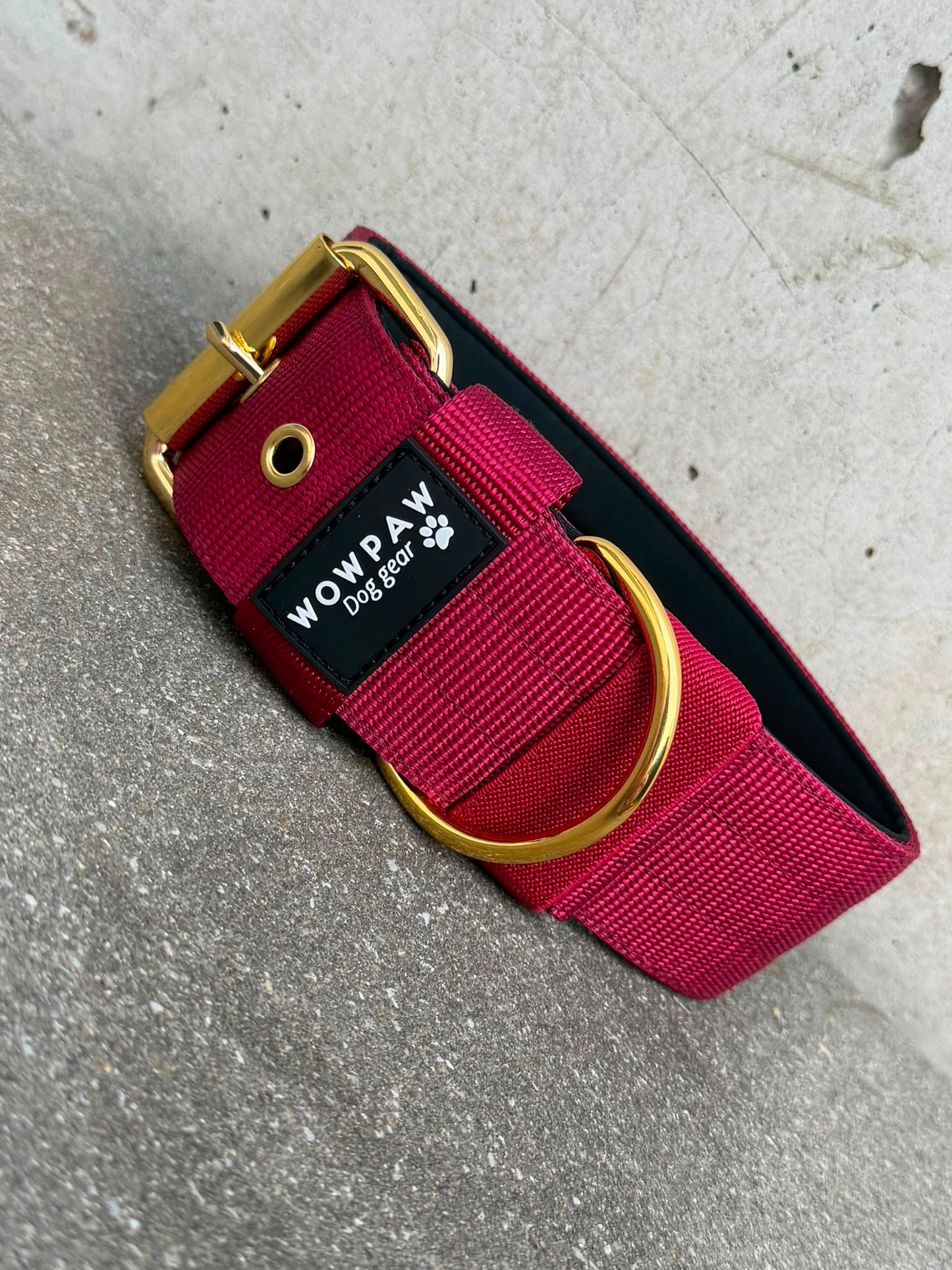 Collare per cani basic di alta qualità arancione neon taglia M