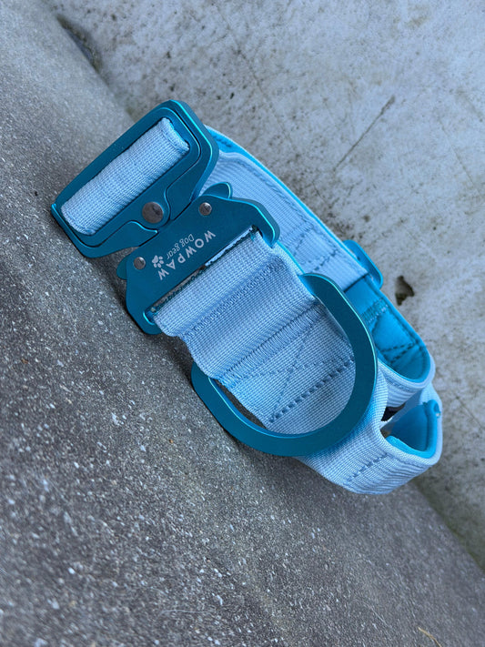 Collare tattico per cani di alta qualità blu royal taglia S