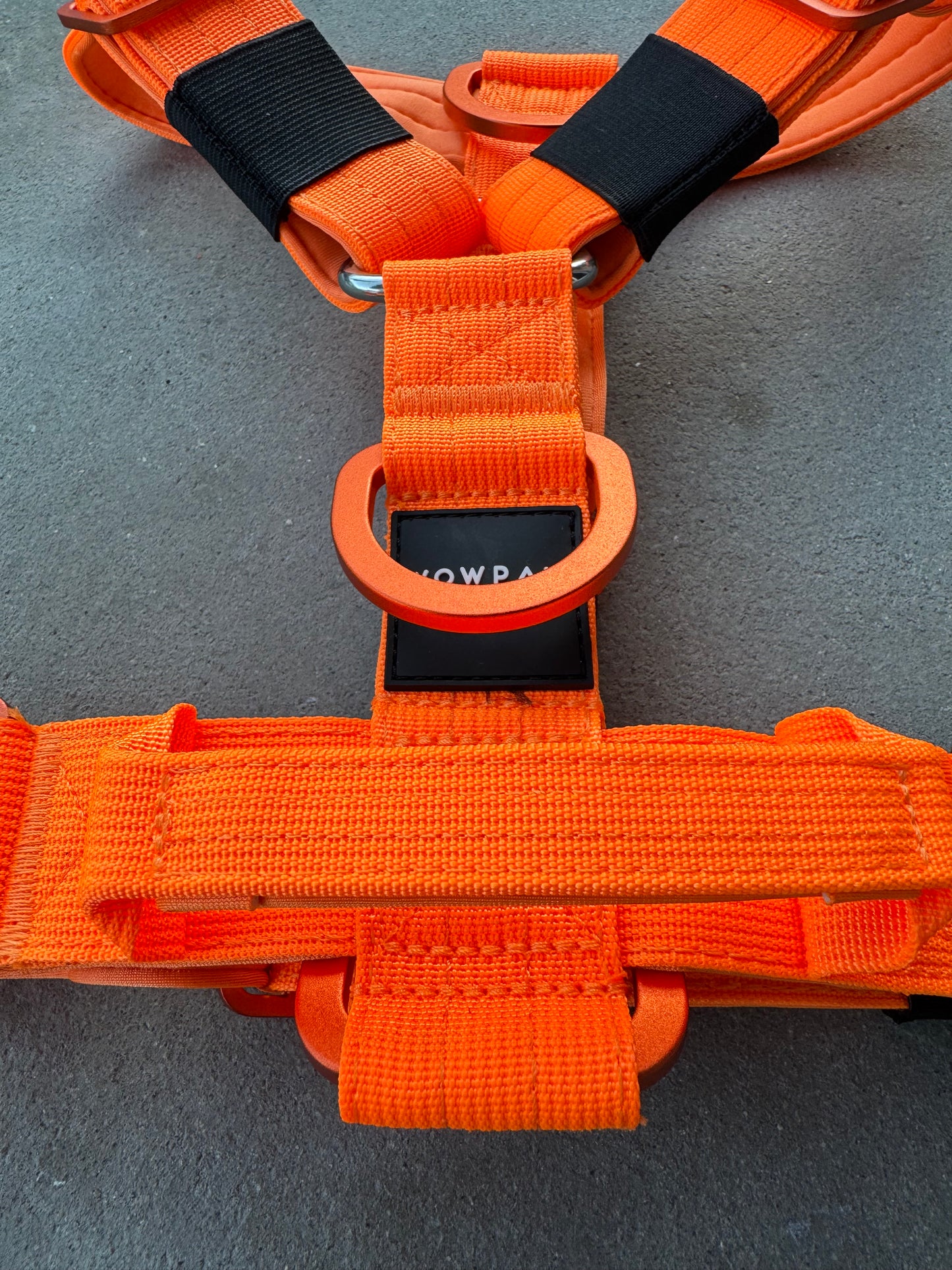 Hochwertiges Hundegeschirr S Neonorange Edition