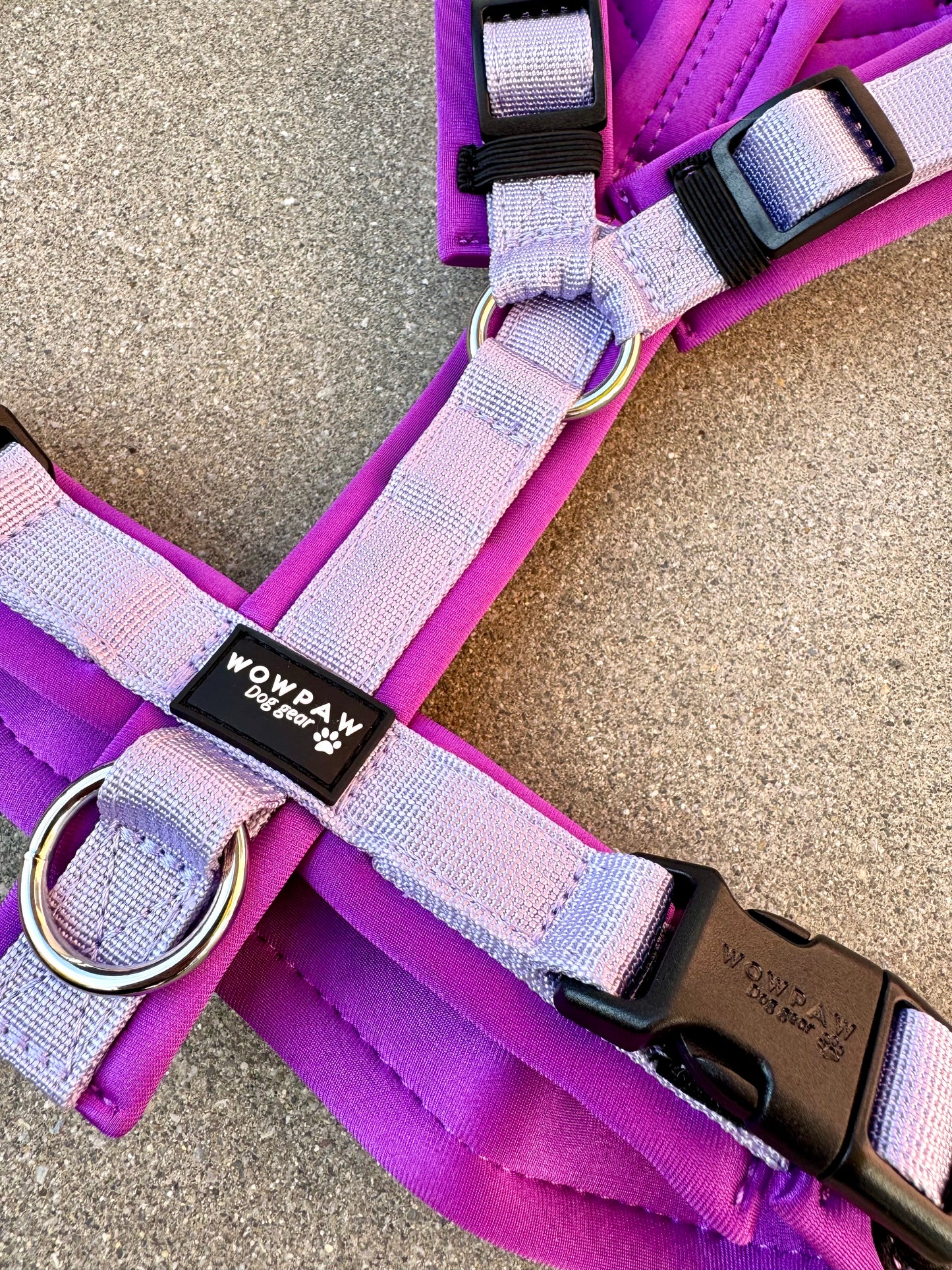 Pettorina per cani di alta qualità M arancione neon