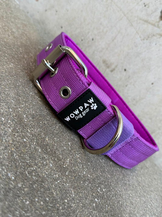 Hochwertiges Basic Hundehalsband Dunkellila-Silber Edition 3,8cm Größe S