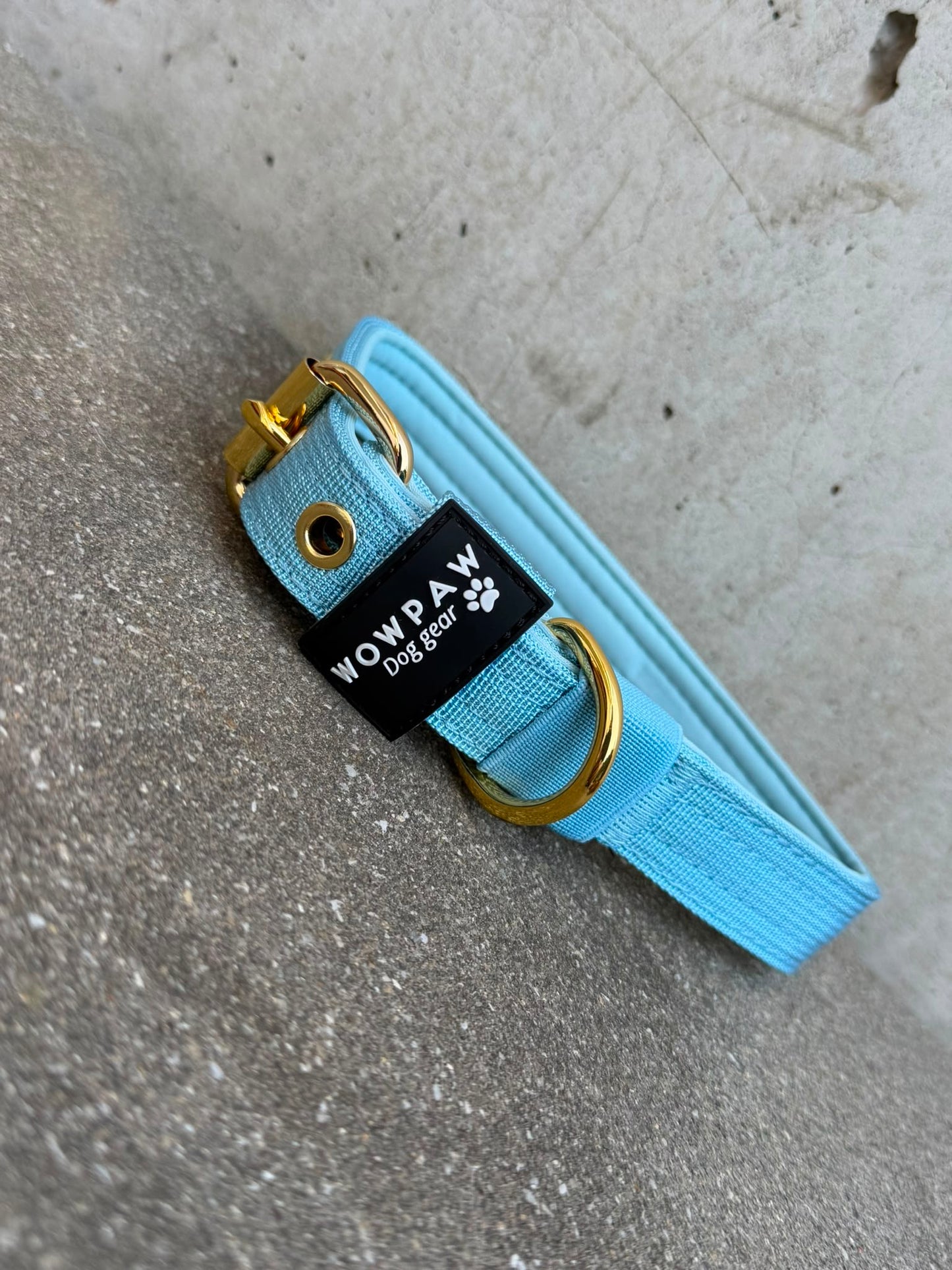 Hochwertiges Basic Hundehalsband Sky Blue 2,5cm Größe M