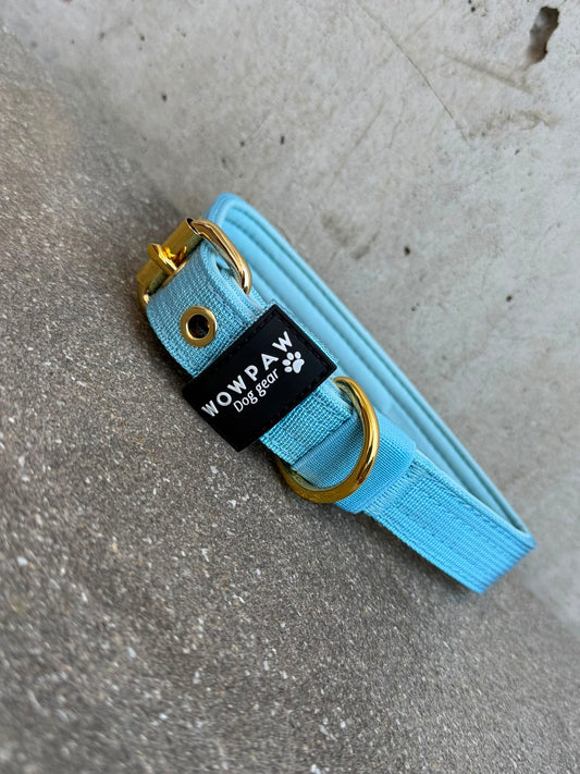 Hochwertiges Basic Hundehalsband Sky Blue 2,5cm Größe S