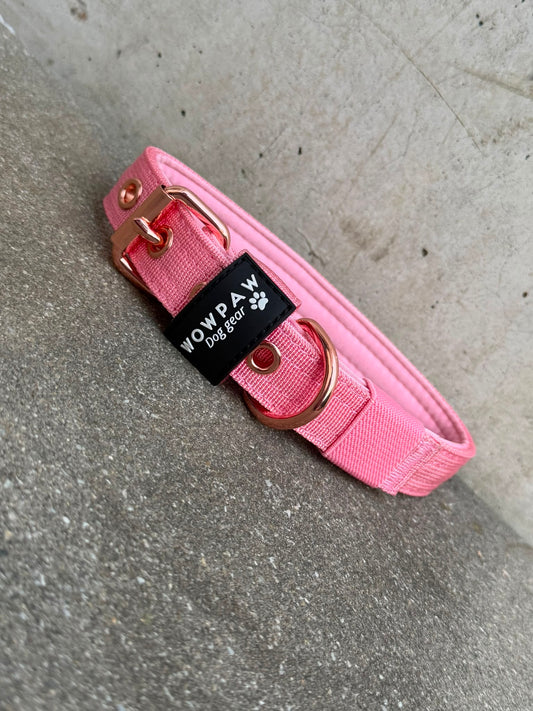 Hochwertiges Basic Hundehalsband Rosa Edition 2,5cm Größe S