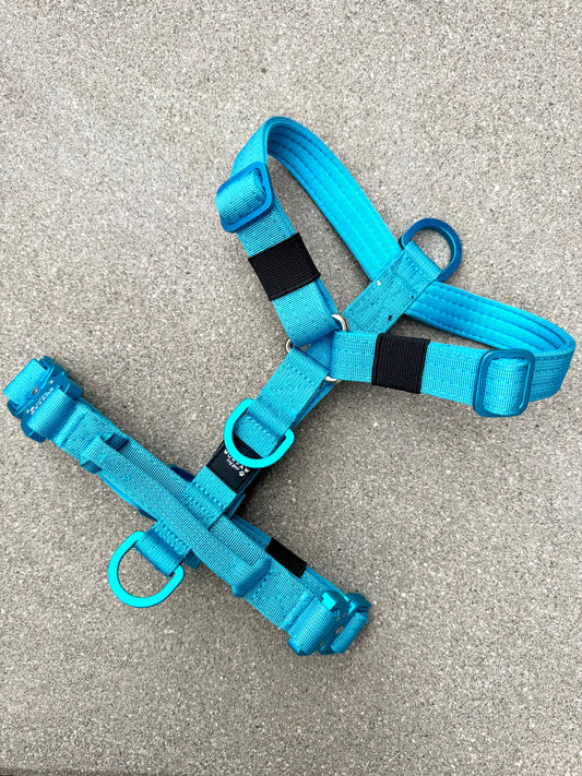 Hochwertiges Hundegeschirr XS Hellblau Edition