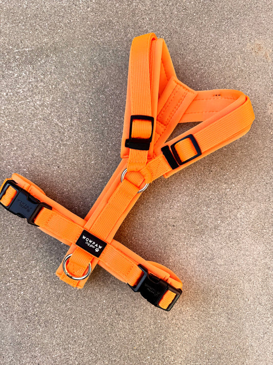 Hochwertiges Hundegeschirr FLOW Neonorange Edition