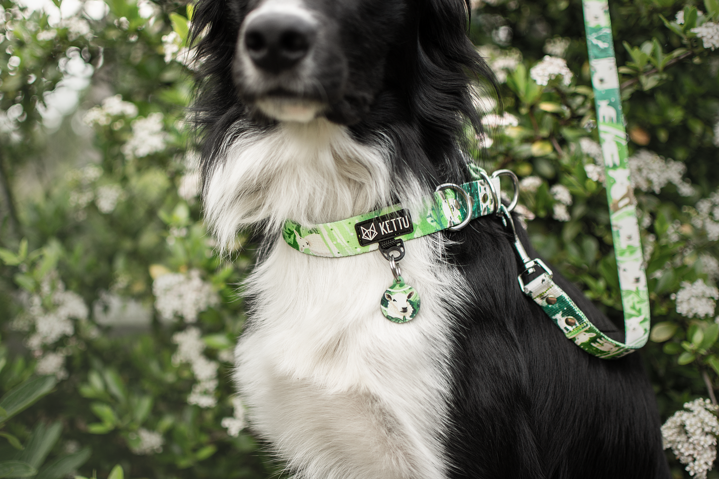 KETTU Halbzug Hundehalsband Sheep