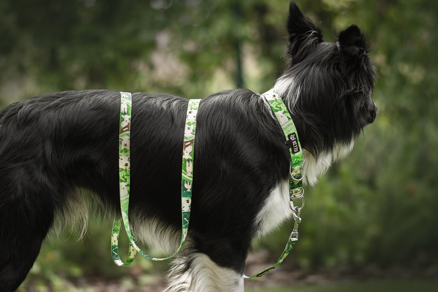 KETTU Halbzug Hundehalsband Sheep