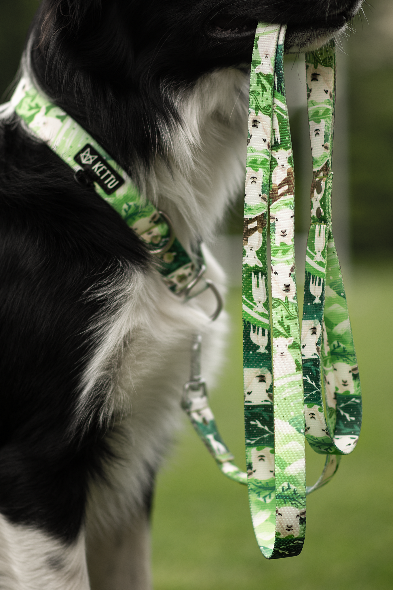 KETTU Halbzug Hundehalsband Sheep